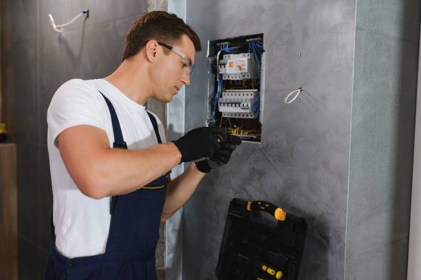 Best Residential Electrician Services  in Brighton, MI