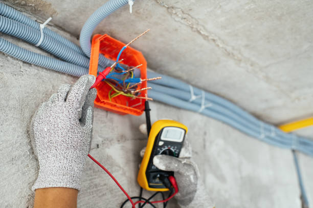 Best Electric Panel Repair  in Brighton, MI